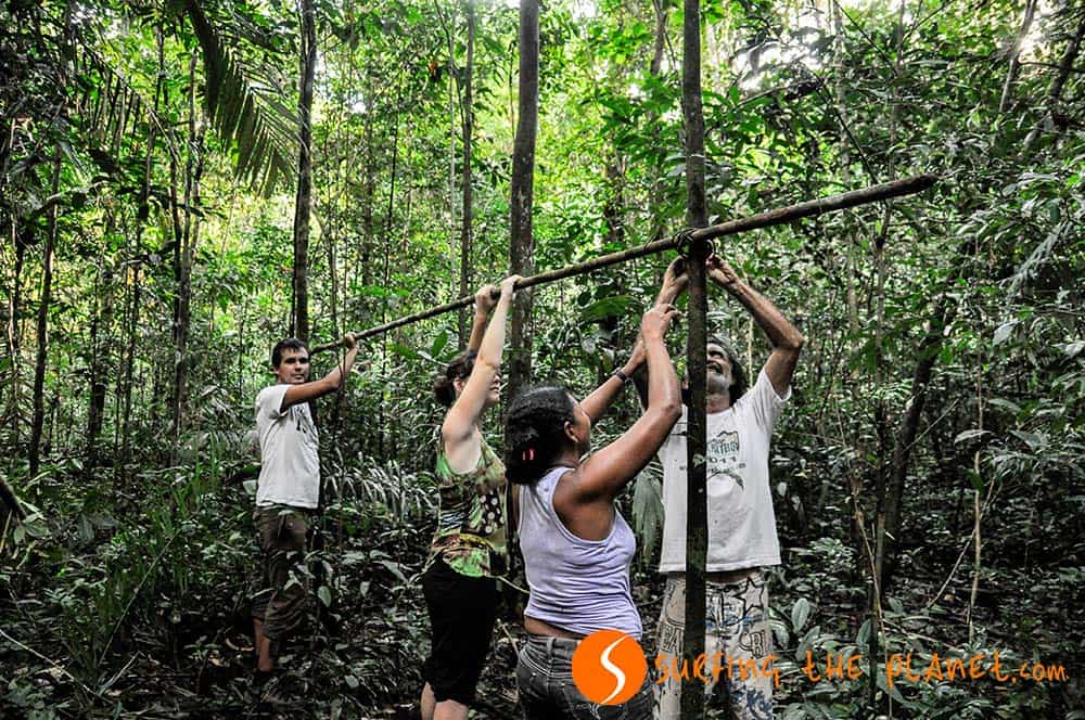 Buliding a jungle shelter