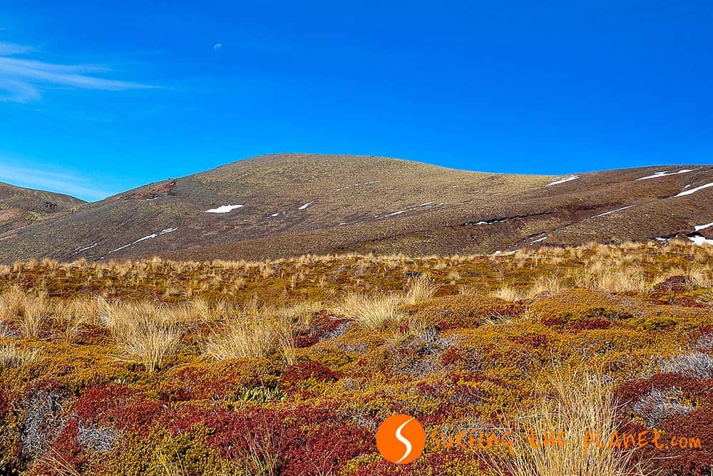 Tongariro Alpine Crossing Tongariro Alpine Crossing