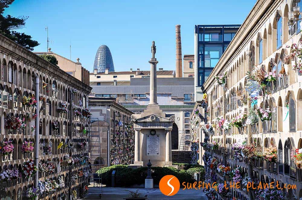 Niches in Poble Nou Cemetery