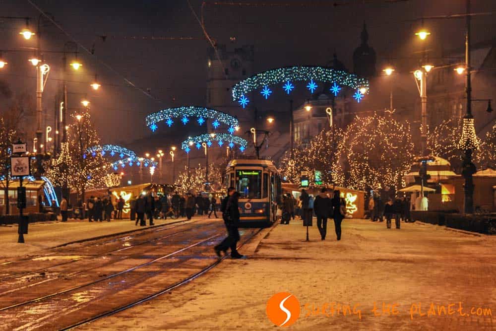 Christmas lights in the main square Debrecen Christmas lights in the main square Debrecen