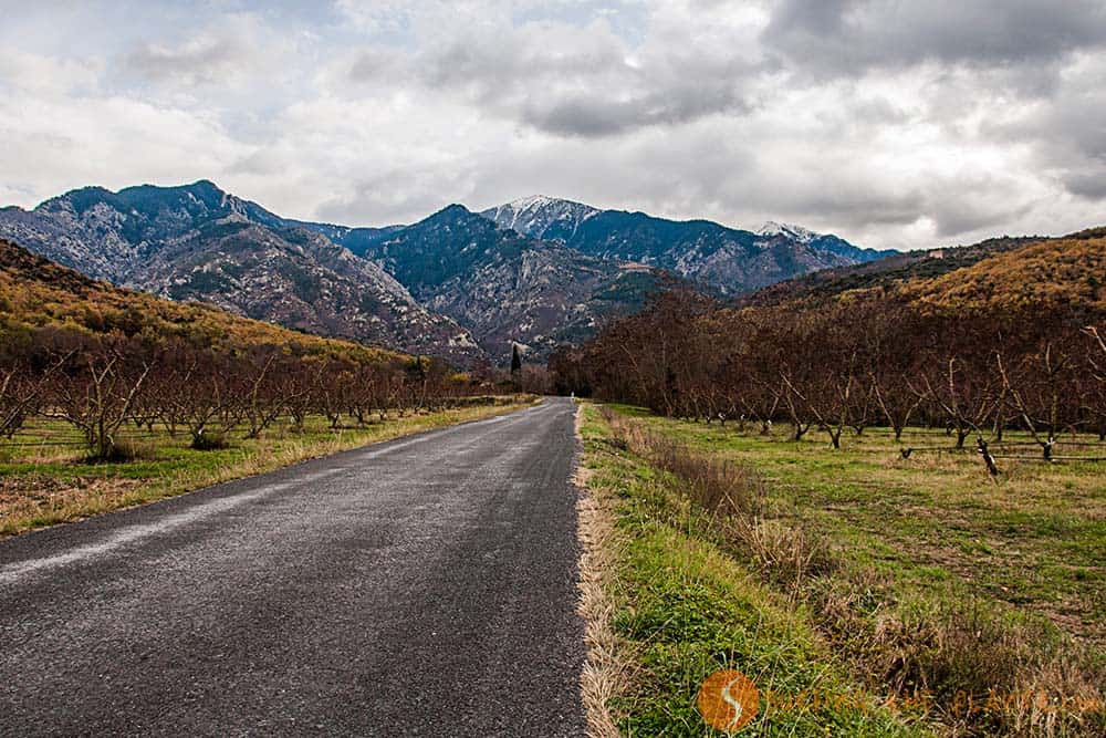 Road in the South of France close to Perpignan