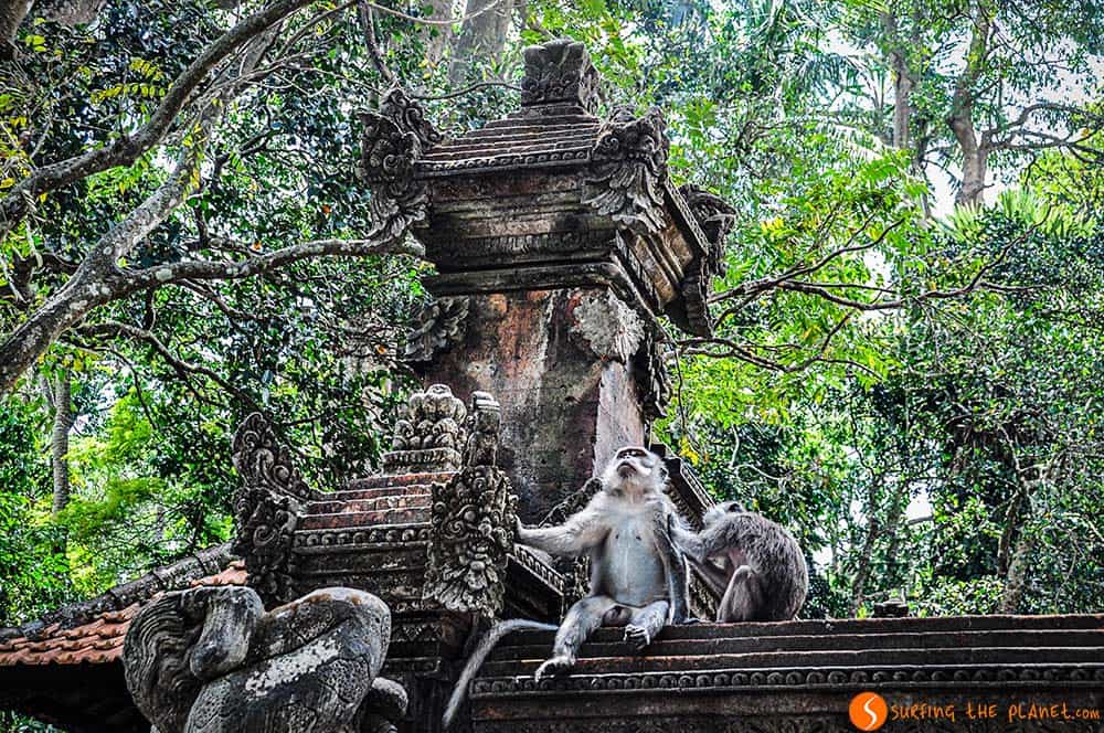 Bali Temples - Sacred Monkey Forest Santuary