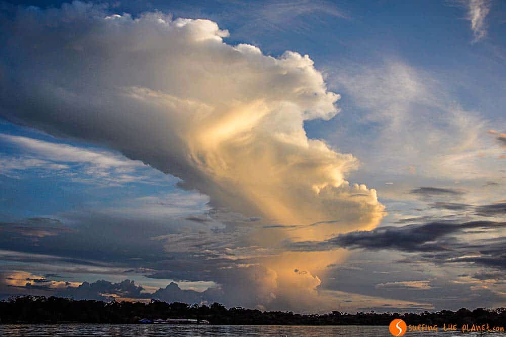 Cloud - Amazon Rainforest