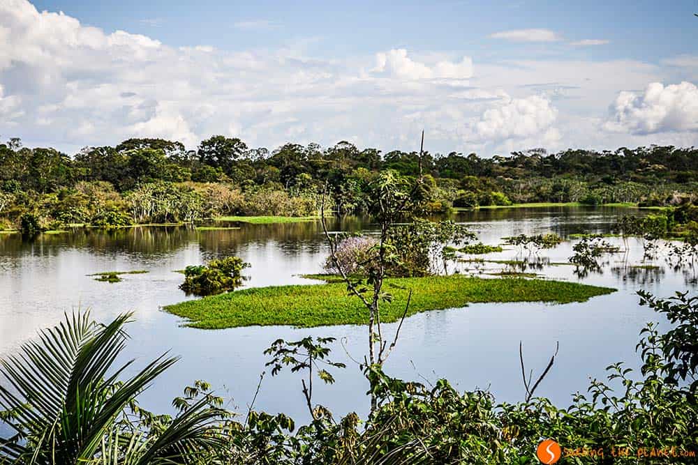 Lake in the Amazon Rainforest