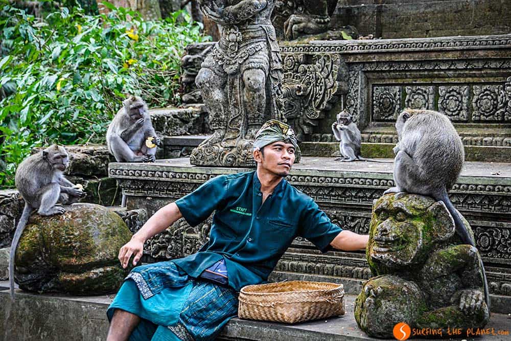 The Sacred Monkey Forest Santuary in Bali