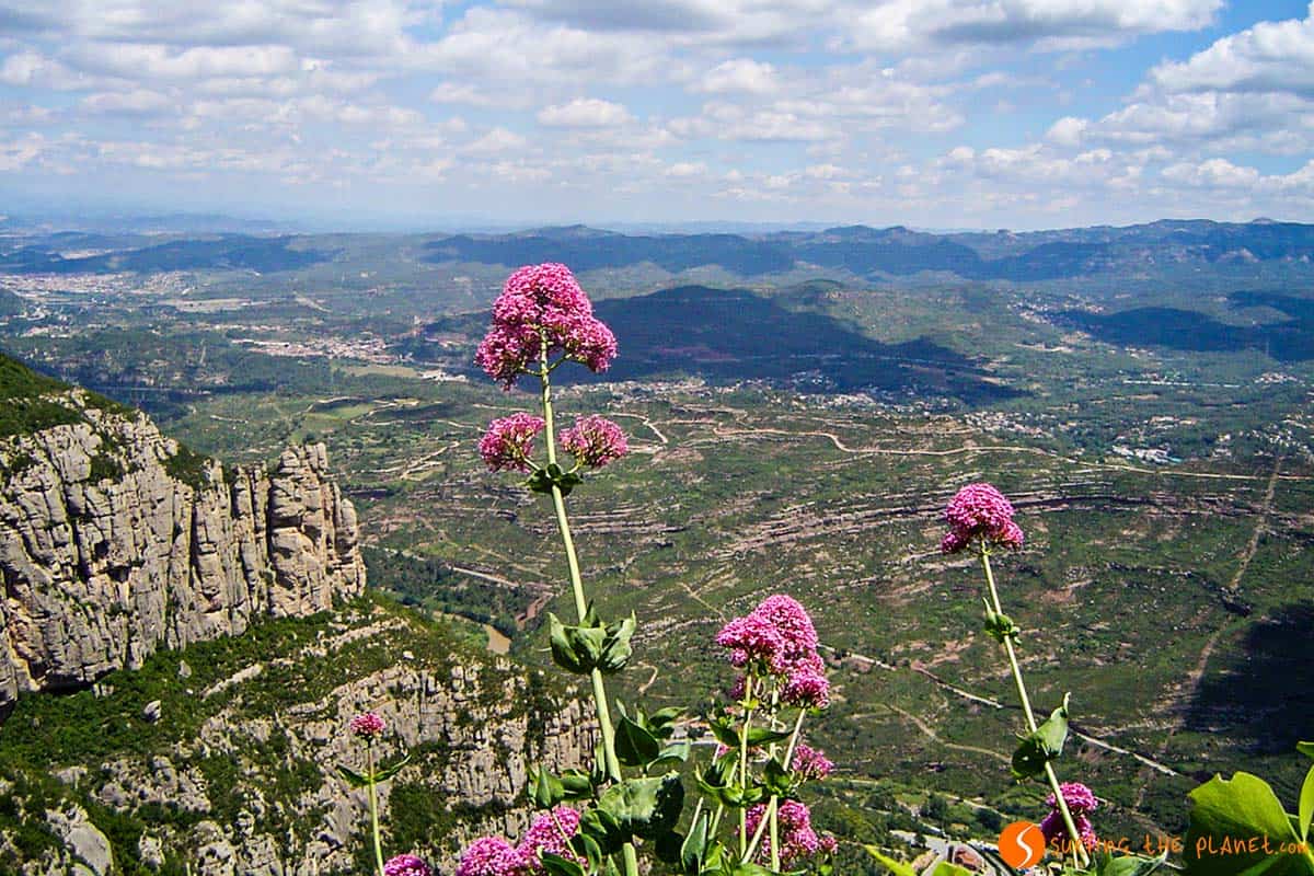 What to do in Barcelona - Montserrat Day Trip
