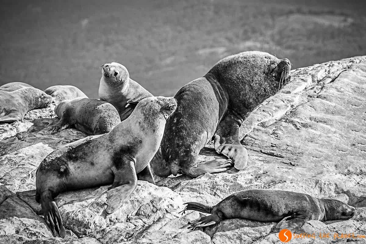 Top Places Patagonia - Beagle Strait