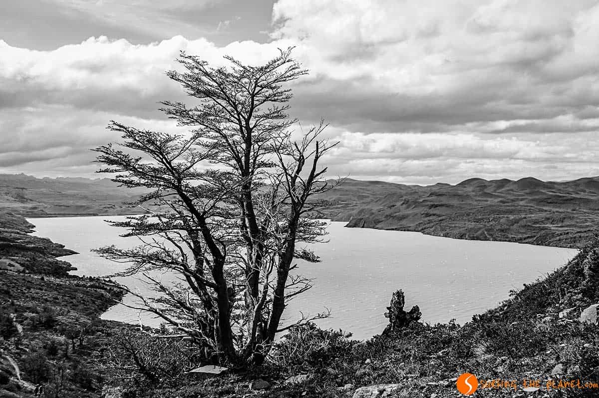 Torres del Paine National Park Lake
