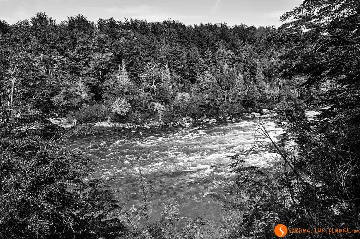 Top Patagonia Places - Alerces National Park