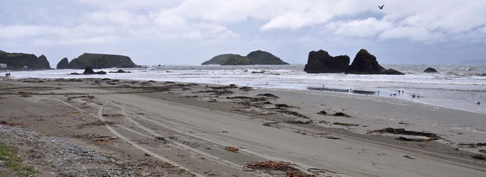 Playa Puñihuil Spiaggia Puñihuil