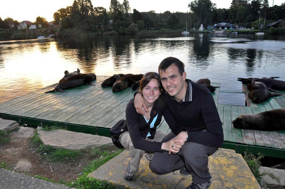 Surfing the Planet - Sea Lions