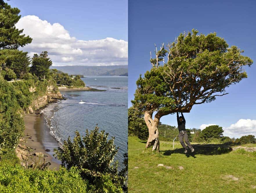 Fortaleza Niebla Fortezza Niebla