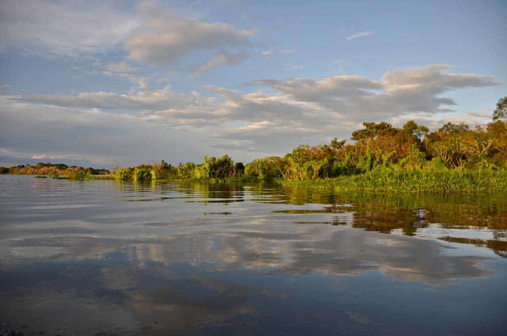Tramonto nell'amazzonia