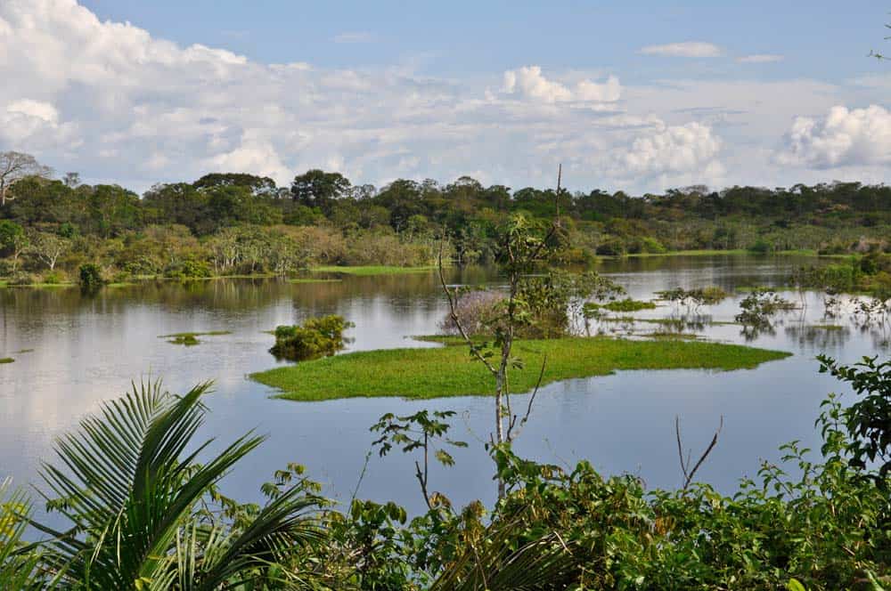 Paesaggio in Amazzonia