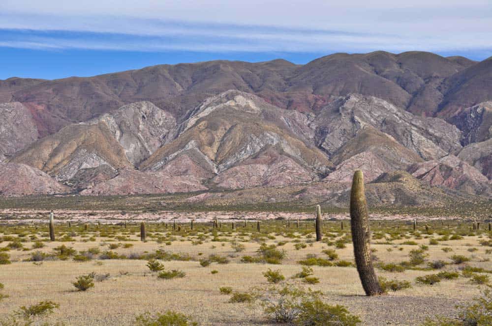 Valle de los Calchaquies Valle dei Calchaquies