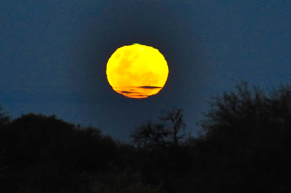Luna llena, Valle de la Luna, San Juan | Qué ver en Ischigualasto Luna llena, Valle de la Luna, San Juan | Qué ver en Ischigualasto