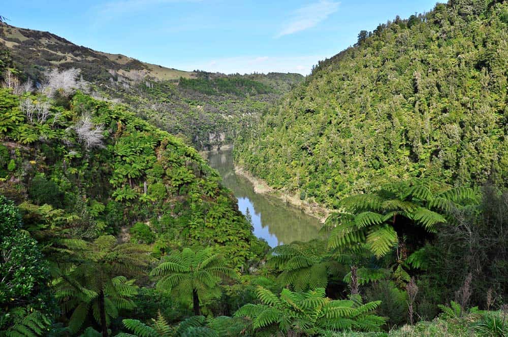 fiume Whanganui | Viaggio in Nuova Zelanda fiume Whanganui | Viaggio in Nuova Zelanda