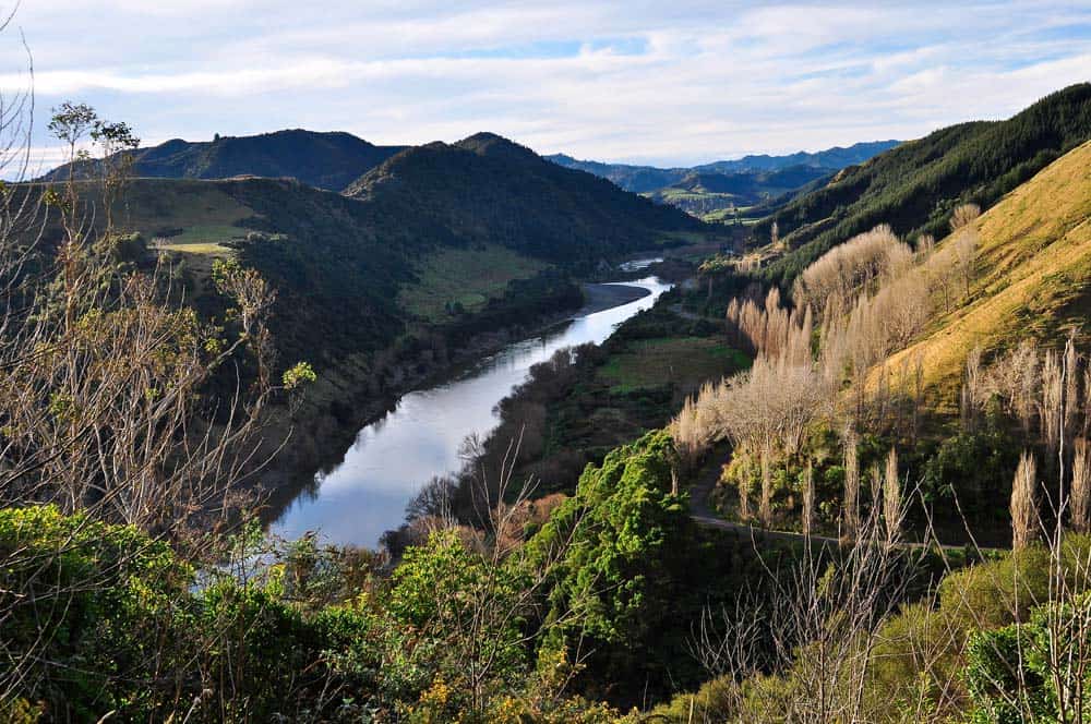 paesaggio del fiume Whanganui | Viaggio in Nuova Zelanda paesaggio del fiume Whanganui | Viaggio in Nuova Zelanda