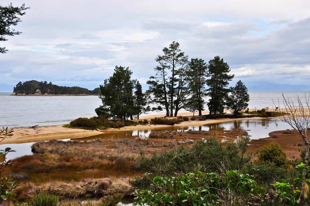 Abel Tasman Coast costa del abel tasman