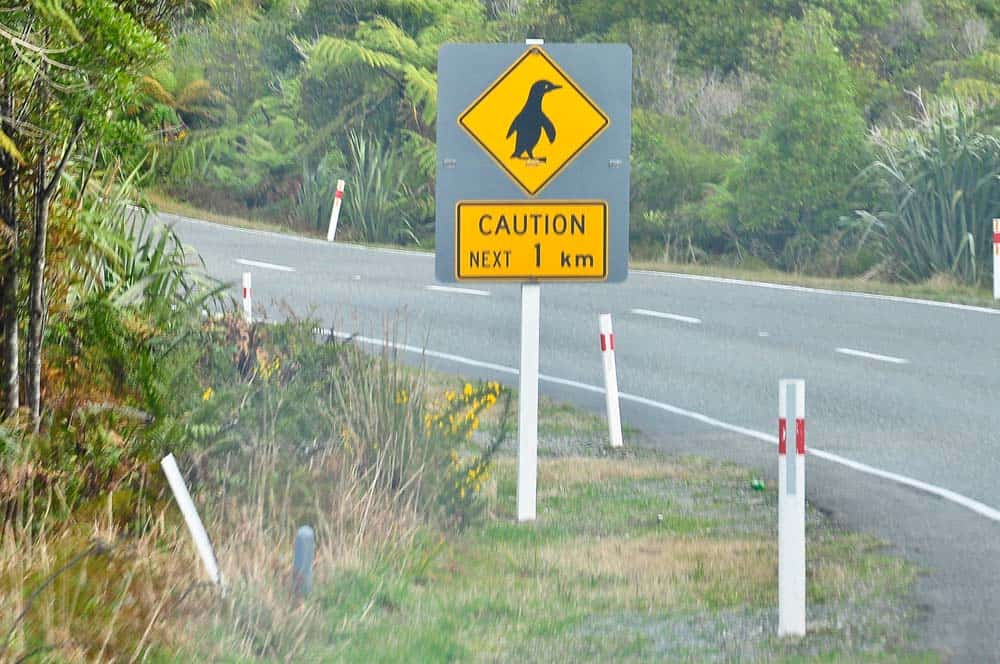 Cartello stradale attenzione pinguini | Viaggio in Nuova Zelanda Cartello stradale attenzione pinguini | Viaggio in Nuova Zelanda
