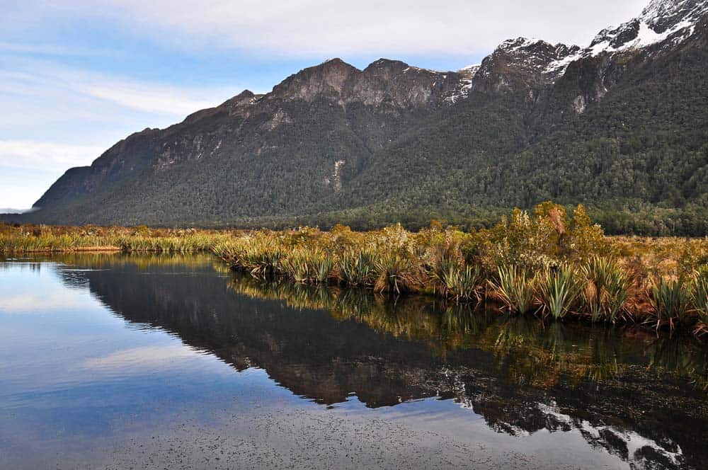 Mirror Lakes, Milford Sound | Viaggio in Nuova Zelanda Mirror Lakes, Milford Sound | Viaggio in Nuova Zelanda