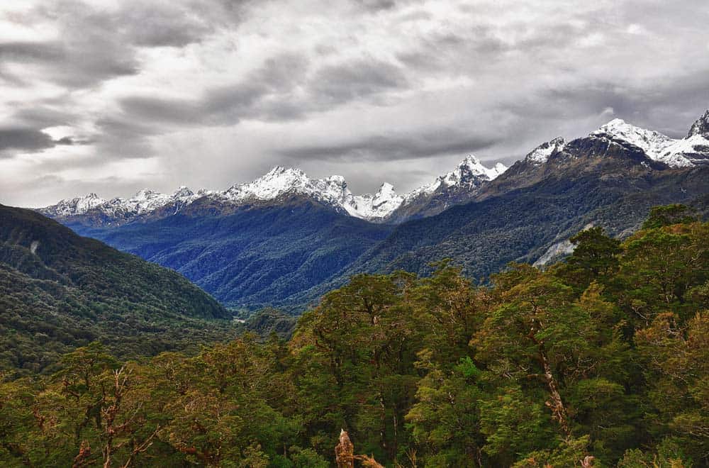 Milford Road, Milford Sound | Viaggio in Nuova Zelanda Milford Road, Milford Sound | Viaggio in Nuova Zelanda