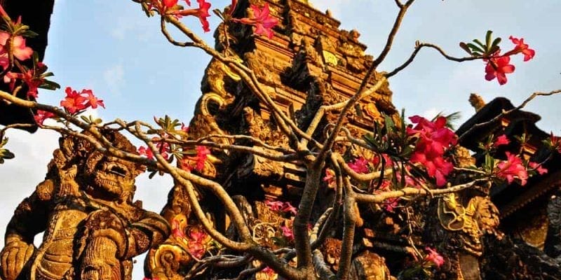 Tempio Pura Taman Saraswati, bali