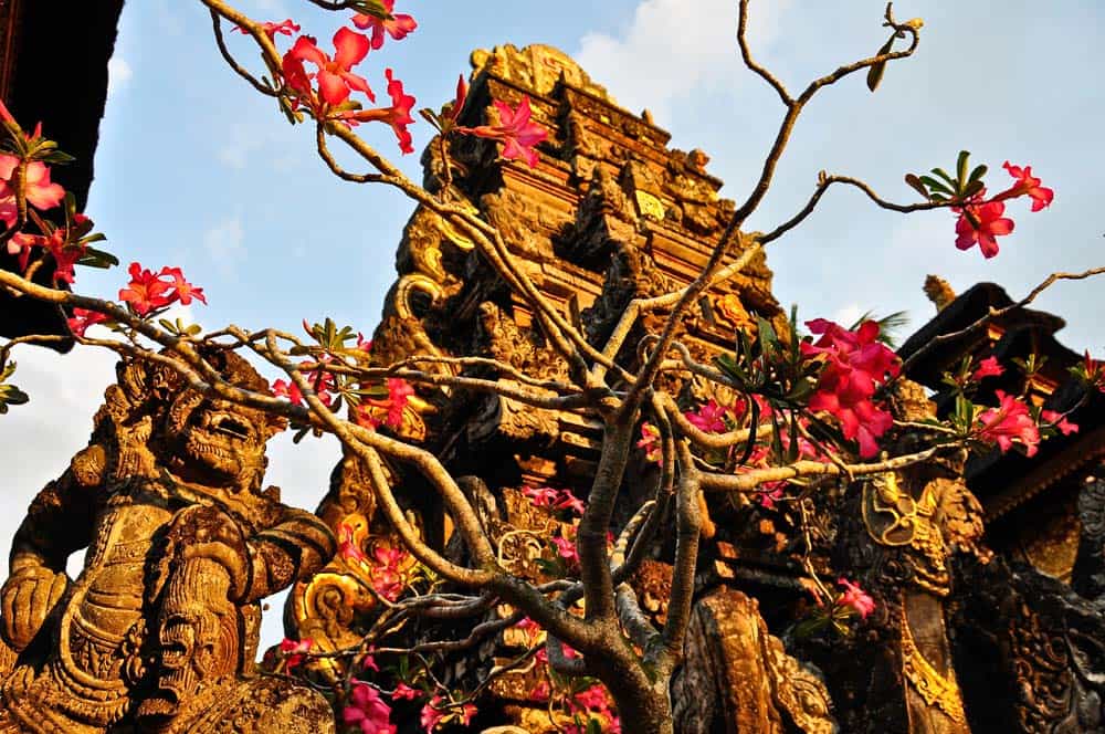 Qué ver y hacer en Bali | Viaje a Indonesia Que ver en Bali | Viaje a Indonesia