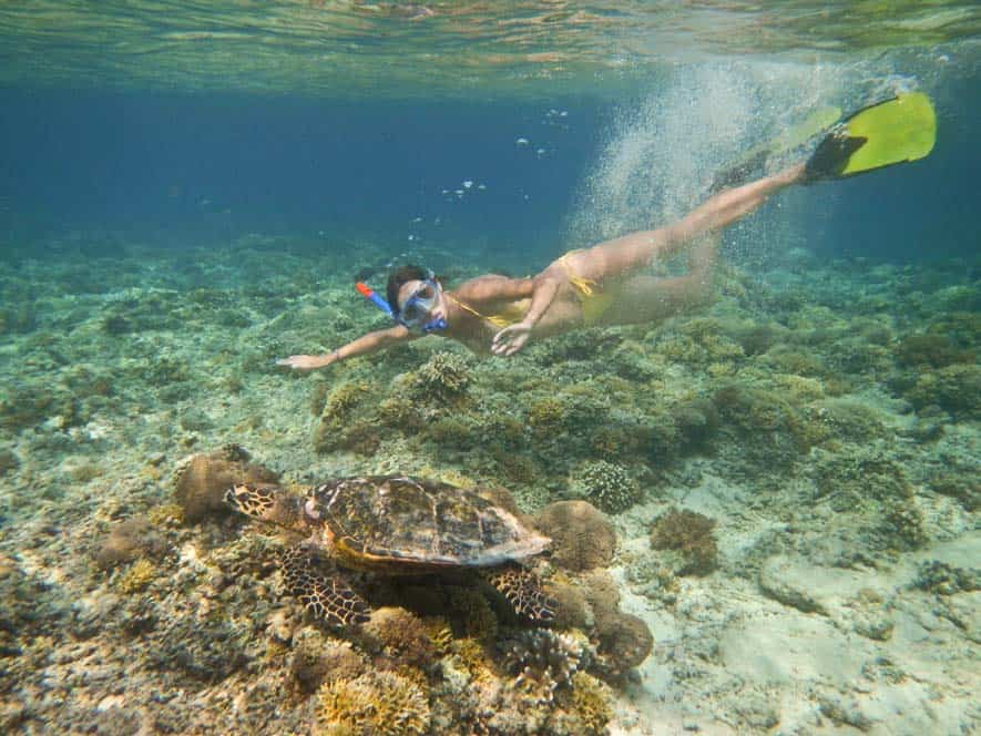 Nuotando con una tartaruga marina a Gilli Meno | Viaggio Indonesia