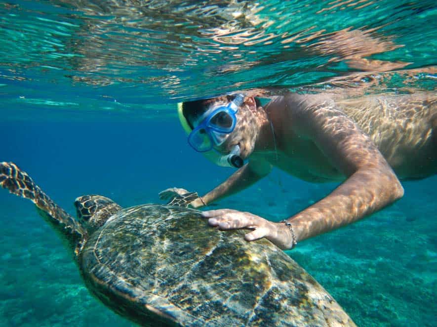 Gábor nuotando con una tartaruga marina a Gilli Meno | Viaggio Indonesia