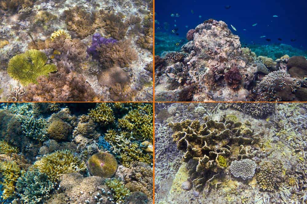 Qué hacer en las islas Gili | Viaje a Indonesia Que hacer en las islas Gili | Viaje a Indonesia