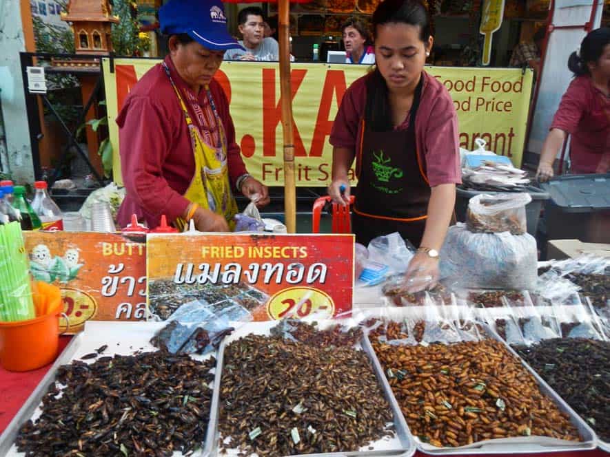 Fried Insects