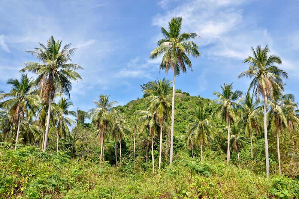 Playas de Camboya - La isla del Conejo | Viajar a Camboya Playas de Camboya - La isla del Conejo | Viajar a Camboya