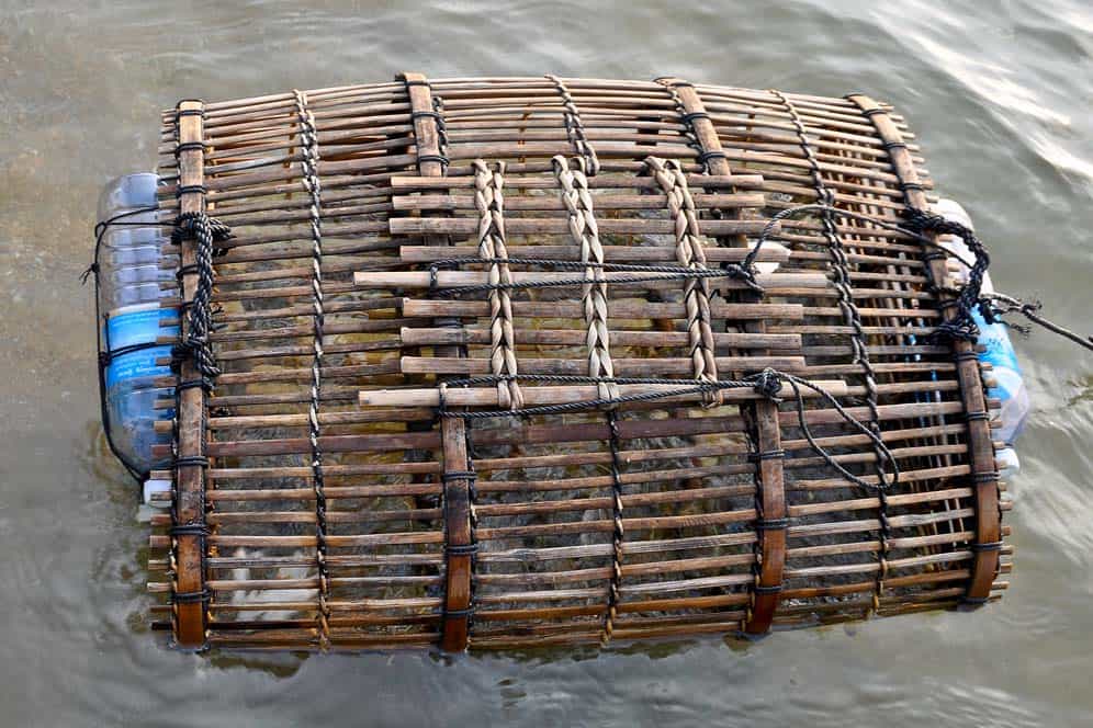 Cangrejos en jaula, Isla del Conejo, Camboya Cangrejos en jaula, Isla del Conejo, Camboya