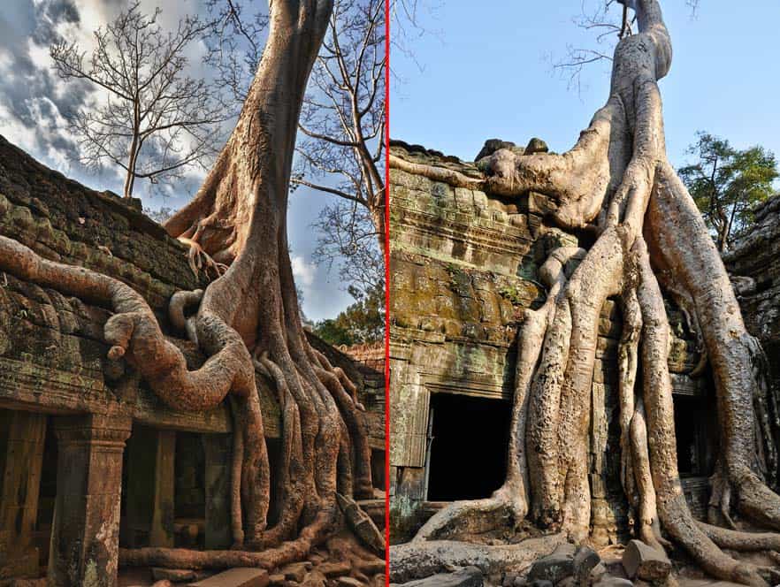 Ta Prohm templo Angkor Wat, Camboya Ta Prohm templo Angkor Wat, Camboya