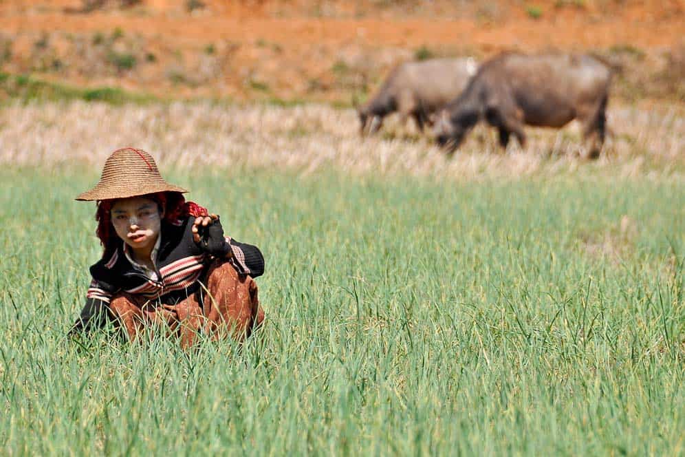 In the field In the field