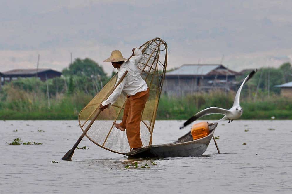 Fisherman in Inle Lake Fisherman in Inle Lake