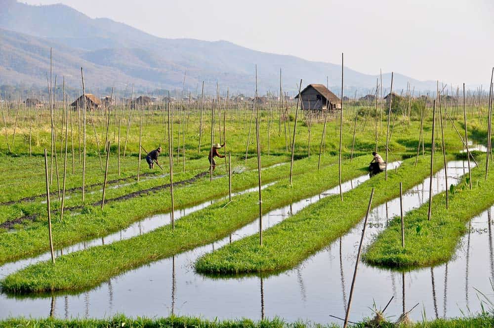 Floating Fields Floating Fields