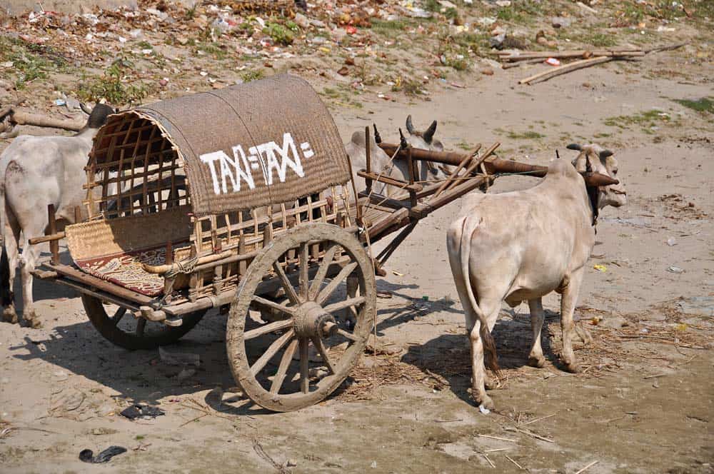 Taxiiiiiiii!!!!!!!!! Taxiiiiiiii!!!!!!!!!