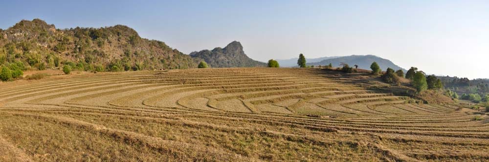 Field Amphiteathre Field Amphiteathre