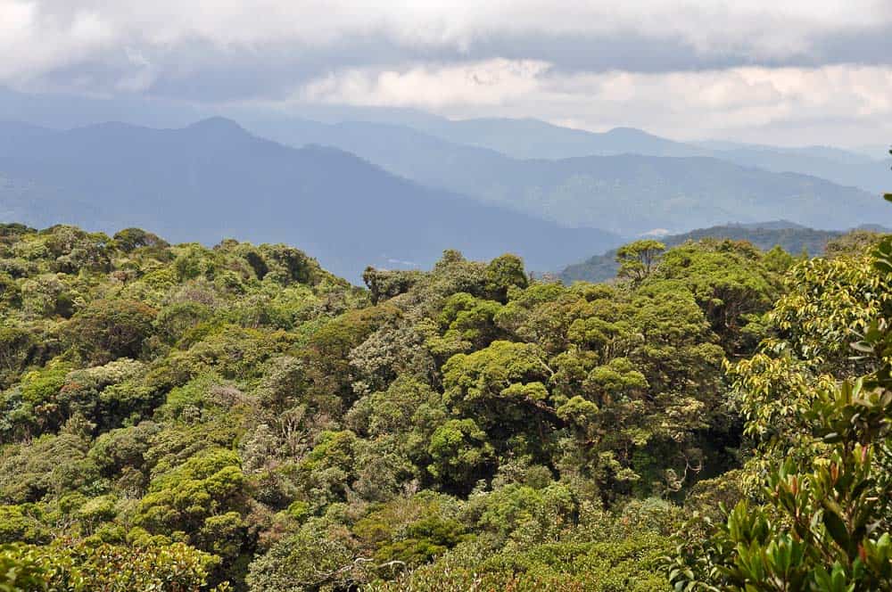 Desde el Gunung Brinchang
