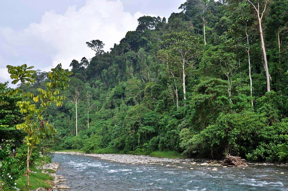 Tranquillitá sul fiume a Bukit Lawang | Viaggio Indonesia Tranquillitá sul fiume a Bukit Lawang | Viaggio Indonesia