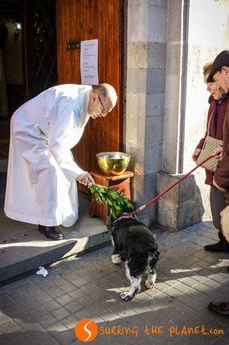 Dog Blessing in Sant Antoni Day