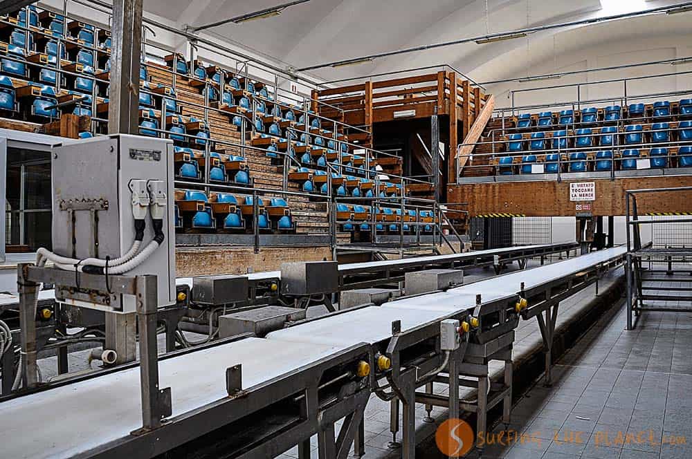 San Benedetto del Tronto - fish market San Benedetto del Tronto - fish market