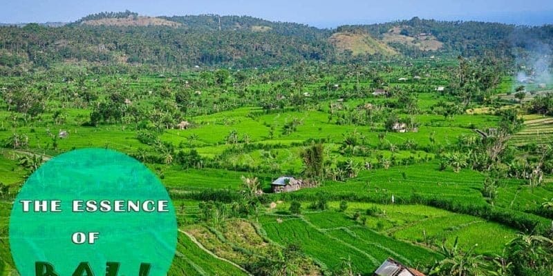 Cosa vedere a Bali - l'essenza di Bali