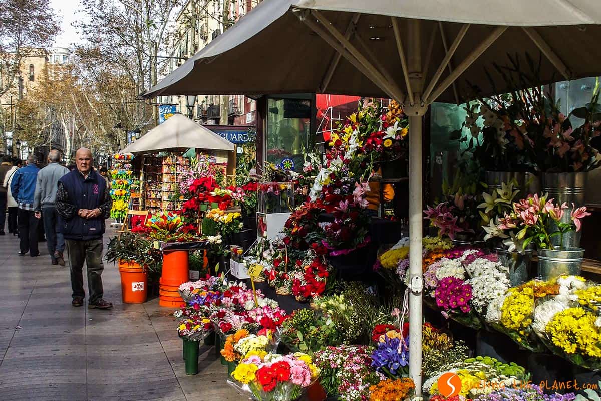 Las Ramblas, Barcelona, España | Que hacer en Barcelona en 2 días Las Ramblas, Barcelona, España | Que hacer en Barcelona en 2 días