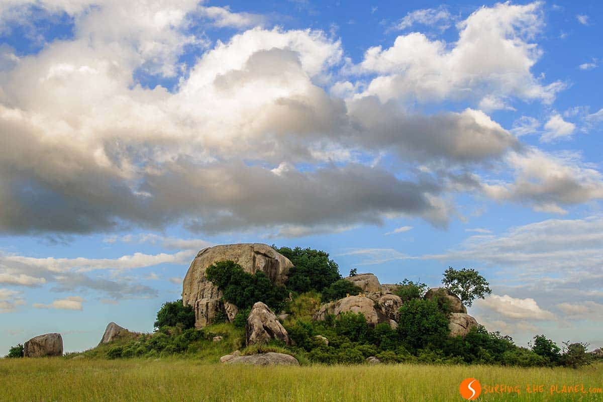 Lion rock in Serengeti National Park | Visiting Tanzania Lion rock in Serengeti National Park | Visiting Tanzania