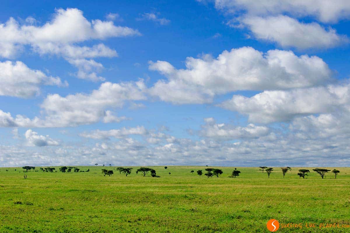 Serengeti National Park | Travel Tanzania Serengeti National Park | Travel Tanzania