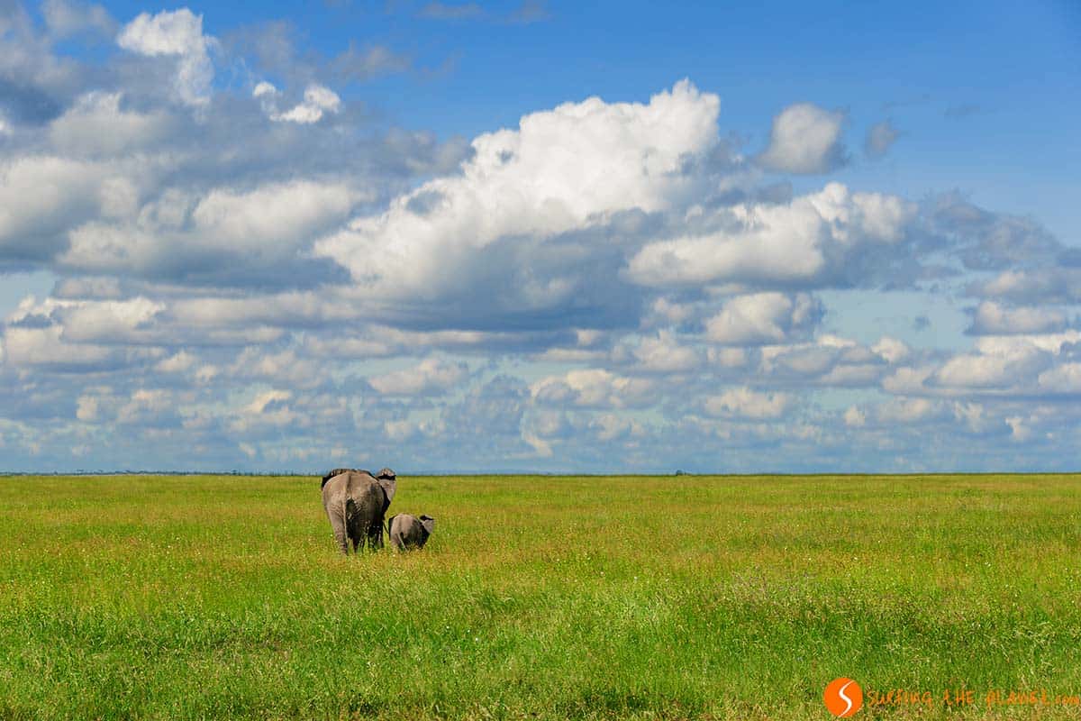Madre elefante y su cría en el Parque Nacional de Serengeti, Tanzania