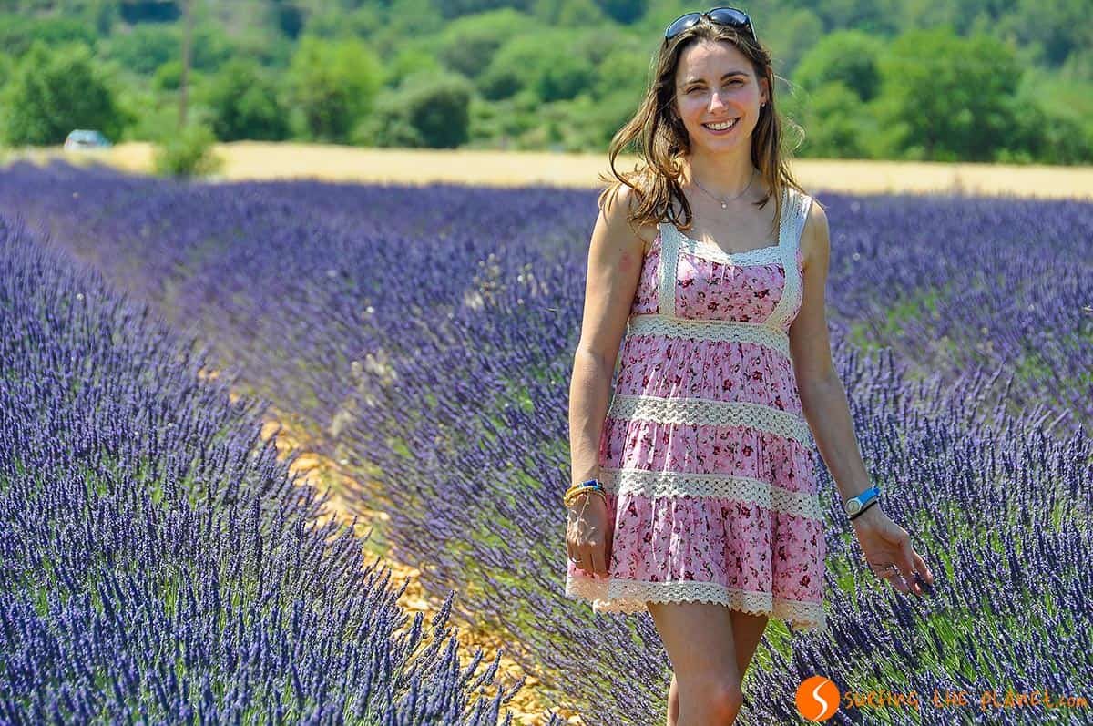 Ruta de la lavanda cerca de Apt, Provenza Ruta de la lavanda cerca de Apt, Provenza